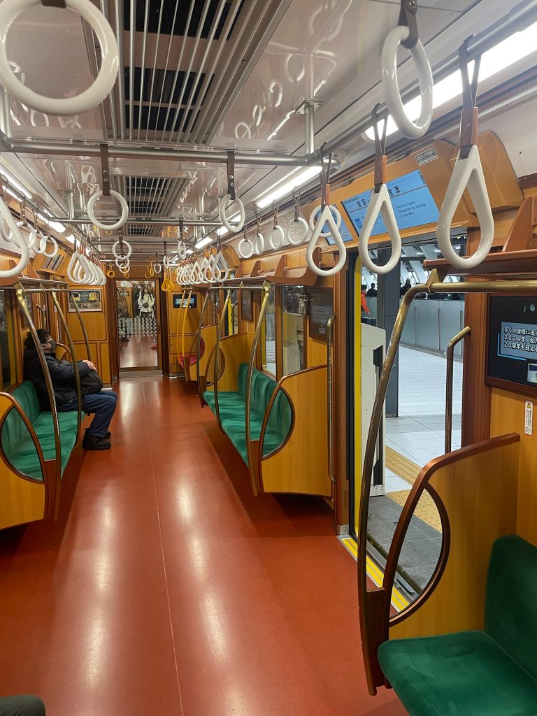 Tokyo Train